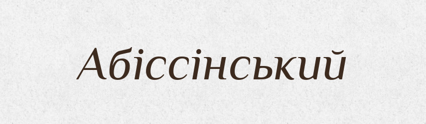 Абіссінський — Великий тлумачний словник сучасної української мови