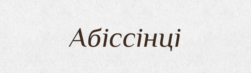 Абіссінці — Великий тлумачний словник сучасної української мови