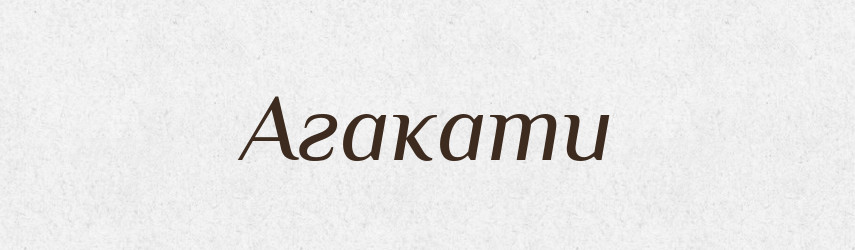 Агакати — Великий тлумачний словник сучасної української мови