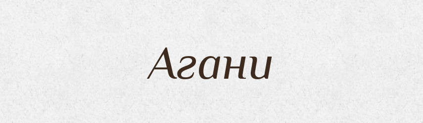 Агани — Великий тлумачний словник сучасної української мови