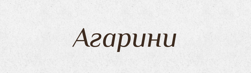 Агарини — Великий тлумачний словник сучасної української мови