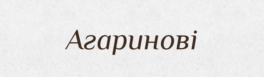 Агаринові — Великий тлумачний словник сучасної української мови