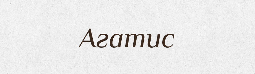 Агатис — Великий тлумачний словник сучасної української мови