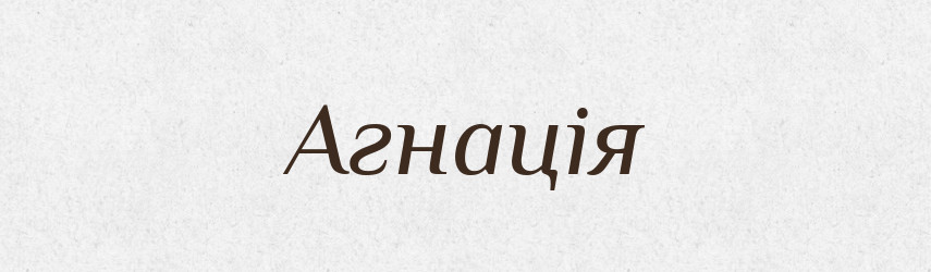 Агнація — Великий тлумачний словник сучасної української мови