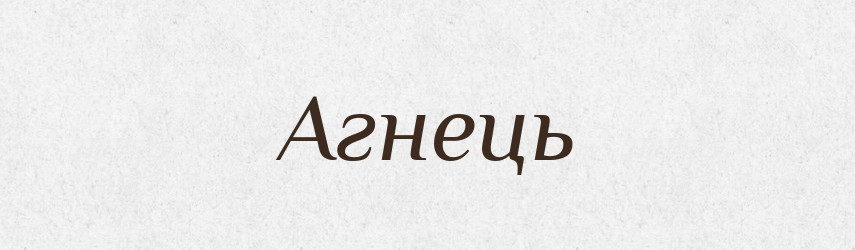Агнець — Великий тлумачний словник сучасної української мови