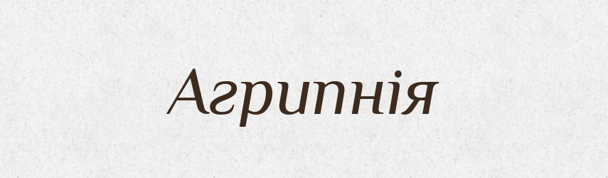 Агрипнія — Великий тлумачний словник сучасної української мови