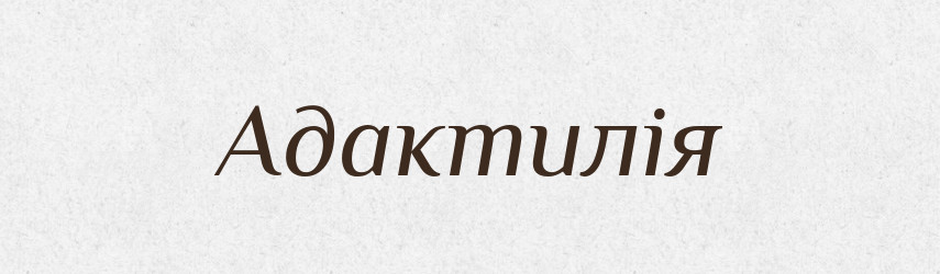 Адактилія — Великий тлумачний словник сучасної української мови