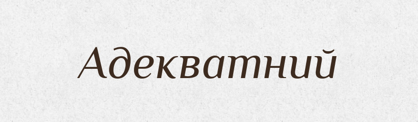 Адекватний — Великий тлумачний словник сучасної української мови