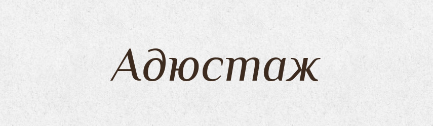 Адюстаж — Великий тлумачний словник сучасної української мови