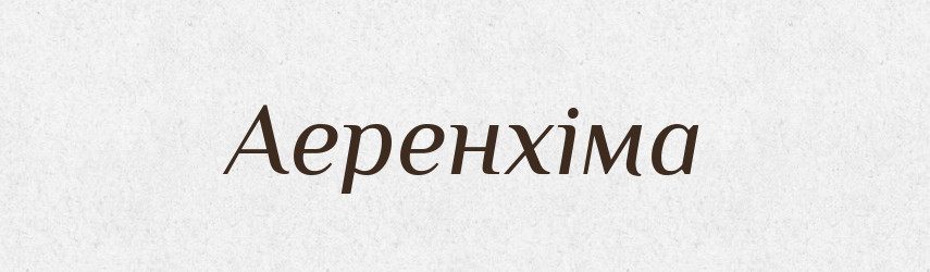 Аеренхіма — Великий тлумачний словник сучасної української мови