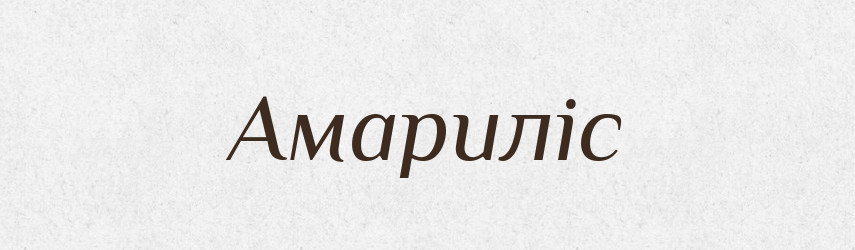 Амариліс — Великий тлумачний словник сучасної української мови