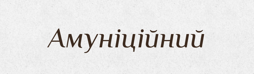 Амуніційний — Великий тлумачний словник сучасної української мови
