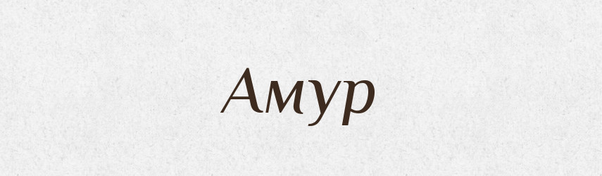 Амур — Великий тлумачний словник сучасної української мови
