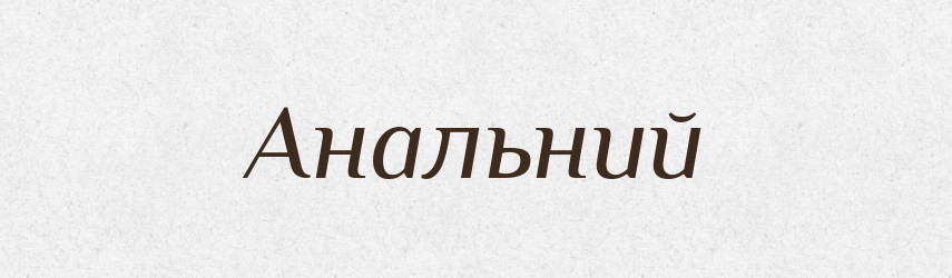 Анальний — Великий тлумачний словник сучасної української мови