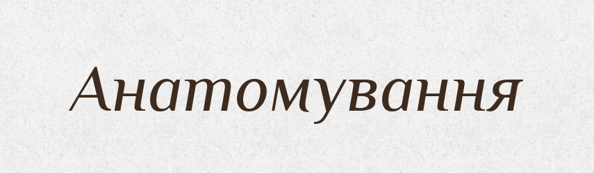 Анатомування — Великий тлумачний словник сучасної української мови