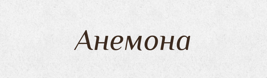 Анемона — Великий тлумачний словник сучасної української мови