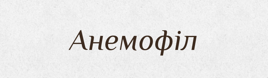 Анемофіл — Великий тлумачний словник сучасної української мови