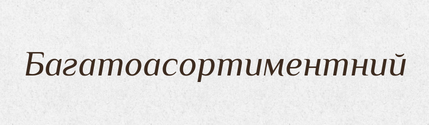 Багатоасортиментний — Великий тлумачний словник сучасної української мови
