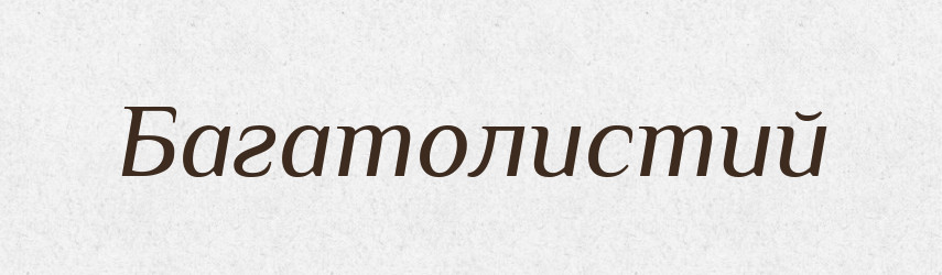 Багатолистий — Великий тлумачний словник сучасної української мови