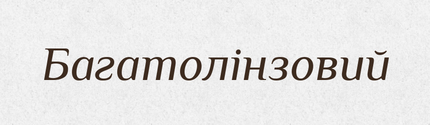 Багатолінзовий — Великий тлумачний словник сучасної української мови