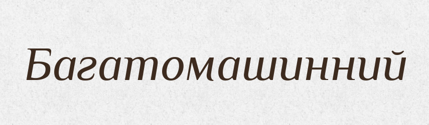 Багатомашинний — Великий тлумачний словник сучасної української мови