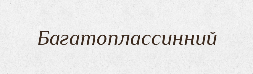 Багатоплассинний — Великий тлумачний словник сучасної української мови