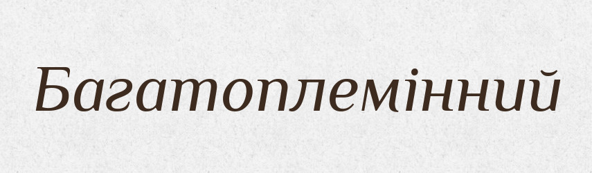 Багатоплемінний — Великий тлумачний словник сучасної української мови