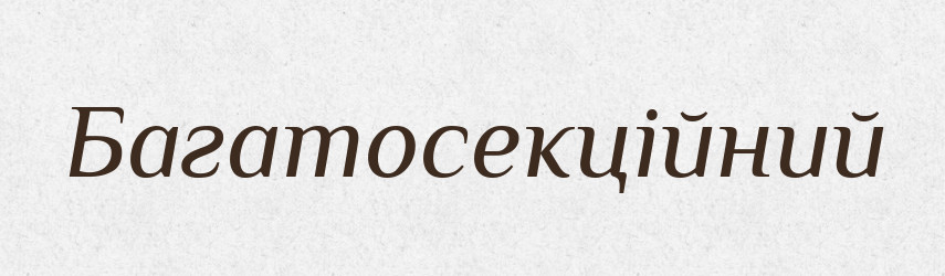 Багатосекційний — Великий тлумачний словник сучасної української мови