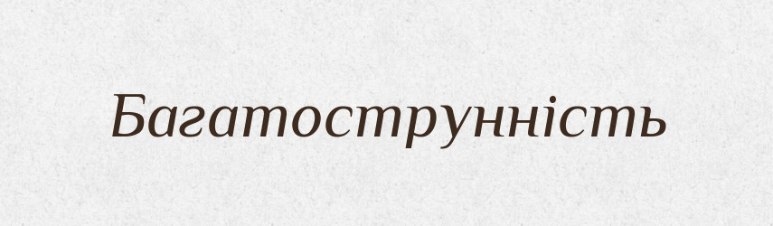 Багатострунність — Великий тлумачний словник сучасної української мови