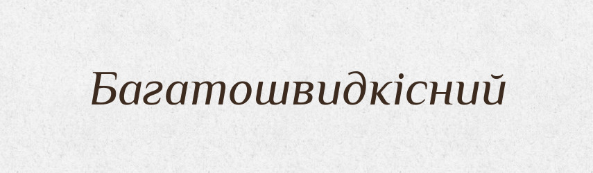 Багатошвидкісний — Великий тлумачний словник сучасної української мови