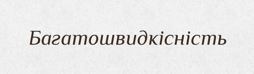 Багатошвидкісність — Великий тлумачний словник сучасної української мови