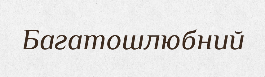 Багатошлюбний — Великий тлумачний словник сучасної української мови