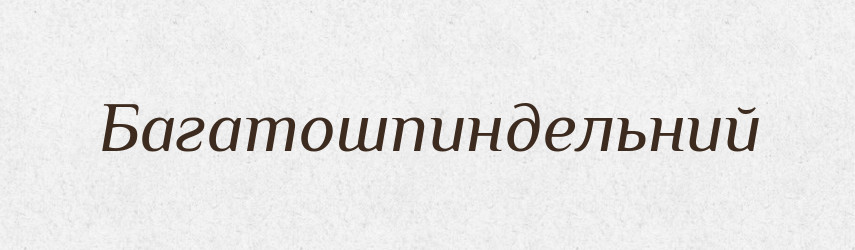Багатошпиндельний — Великий тлумачний словник сучасної української мови