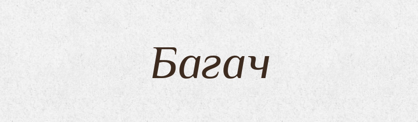 Багач — Великий тлумачний словник сучасної української мови