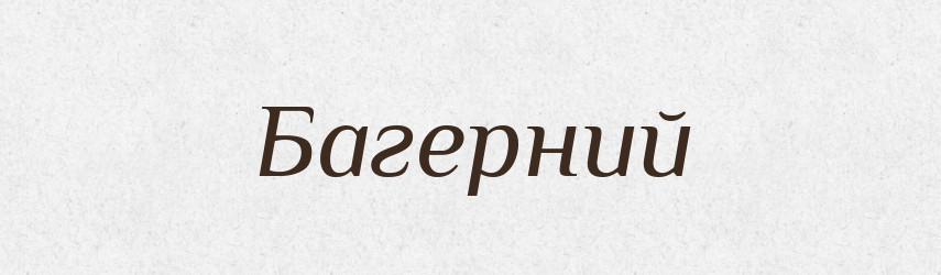 Багерний — Великий тлумачний словник сучасної української мови