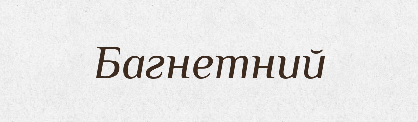 Багнетний — Великий тлумачний словник сучасної української мови