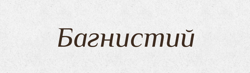 Багнистий — Великий тлумачний словник сучасної української мови