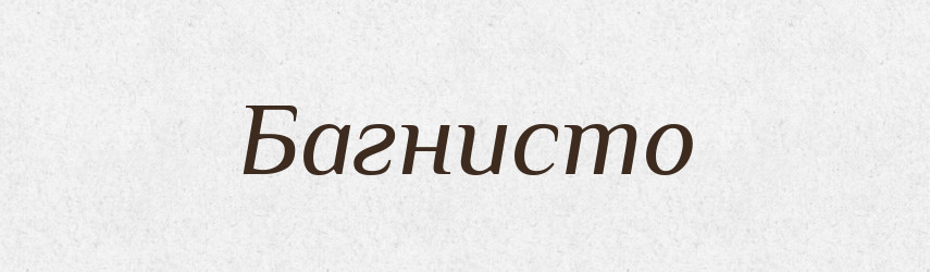 Багнисто — Великий тлумачний словник сучасної української мови
