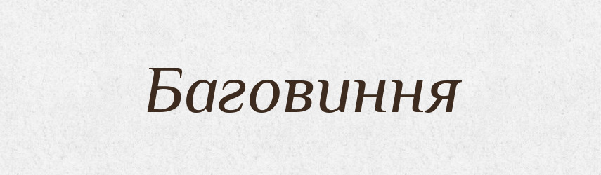 Баговиння — Великий тлумачний словник сучасної української мови