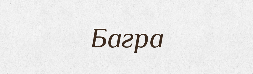 Багра — Великий тлумачний словник сучасної української мови