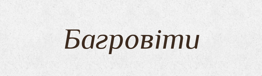 Багровіти — Великий тлумачний словник сучасної української мови