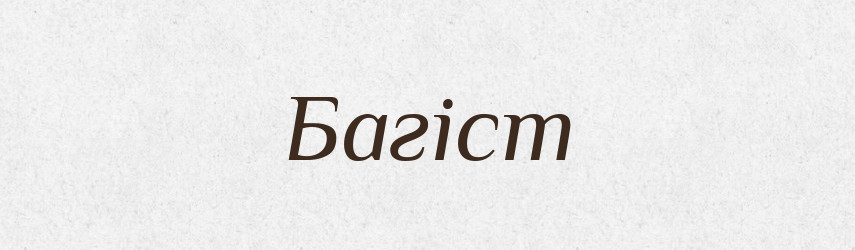 Багіст — Великий тлумачний словник сучасної української мови