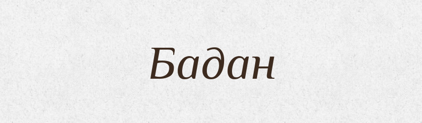 Бадан — Великий тлумачний словник сучасної української мови