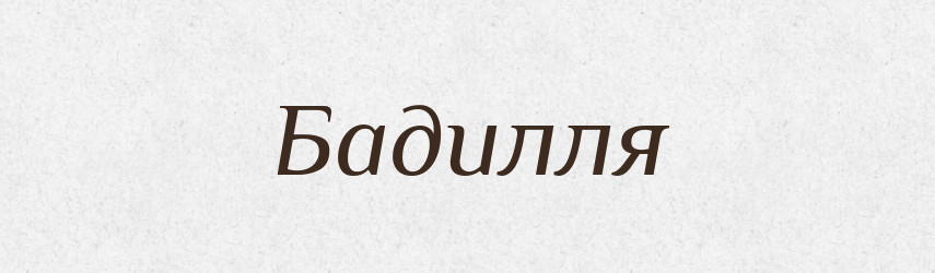 Бадилля — Великий тлумачний словник сучасної української мови