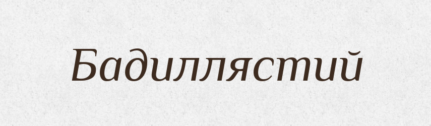 Бадиллястий — Великий тлумачний словник сучасної української мови