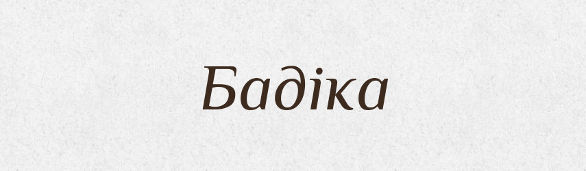 Бадіка — Великий тлумачний словник сучасної української мови