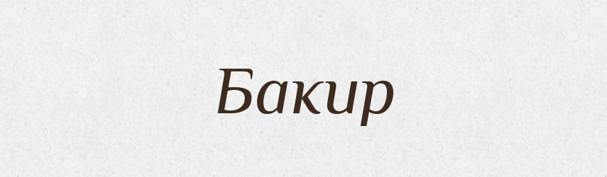 Бакир — Великий тлумачний словник сучасної української мови