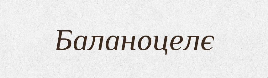 Баланоцелє — Великий тлумачний словник сучасної української мови