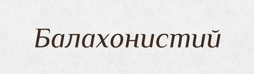 Балахонистий — Великий тлумачний словник сучасної української мови