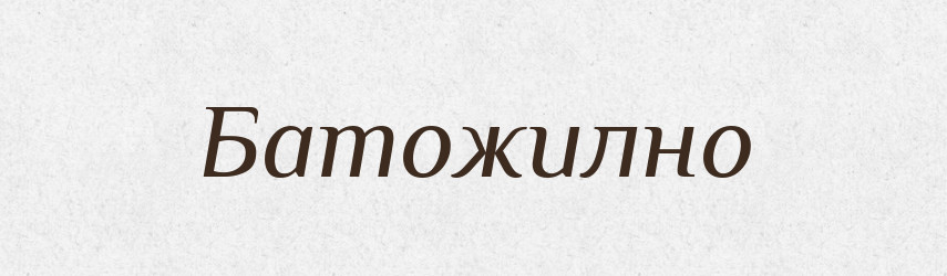 Батожилно — Великий тлумачний словник сучасної української мови